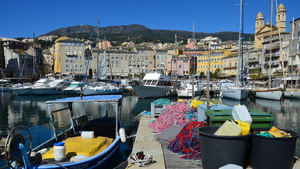 Traitement punaises de lit Bastia